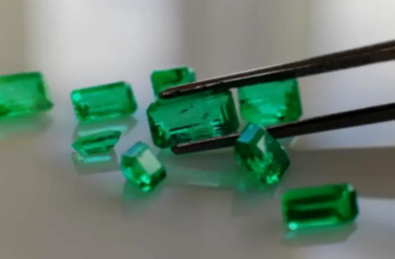 Masterclass transforma la narrativa de la esmeralda colombiana en Boyacá