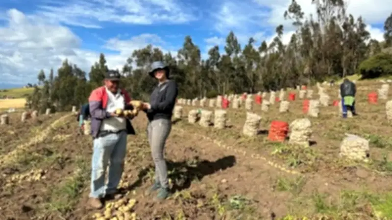 McCain Foods revoluciona el campo colombiano con plan de sostenibilidad hacia 2030