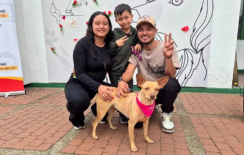 Medusa y seis animales más encuentran hogar en emotiva jornada de adopción por San Valentín en Bogotá