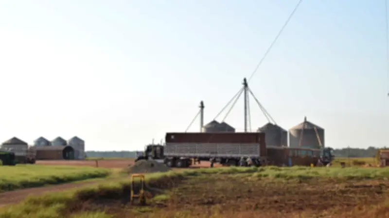 Menonitas mexicanos enfrentarán juicio por deforestación masiva en el Meta