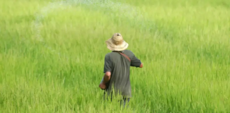 Ministerio de Agricultura garantiza abastecimiento de arroz pese a inundaciones en Córdoba