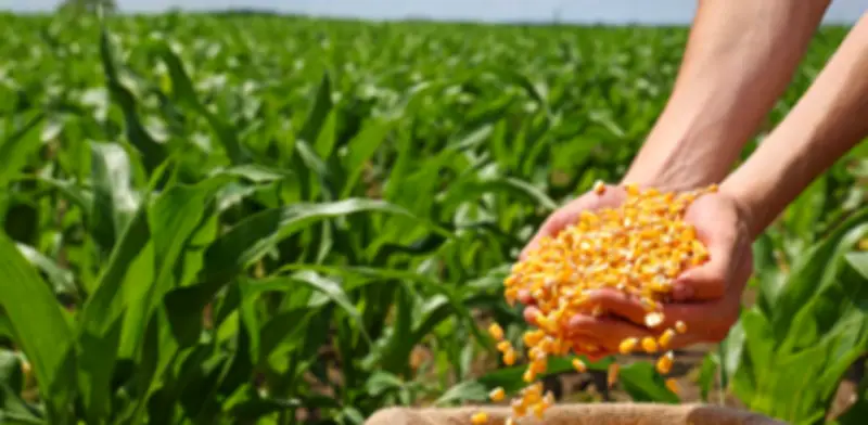 Ministros de Agricultura de la Celac se reúnen en Cartagena para combatir el hambre regional