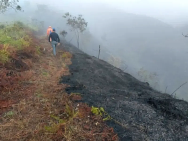 Mogotes en riesgo: Bomberos sin convenio tras 6 años deja 30 hectáreas consumidas por incendio