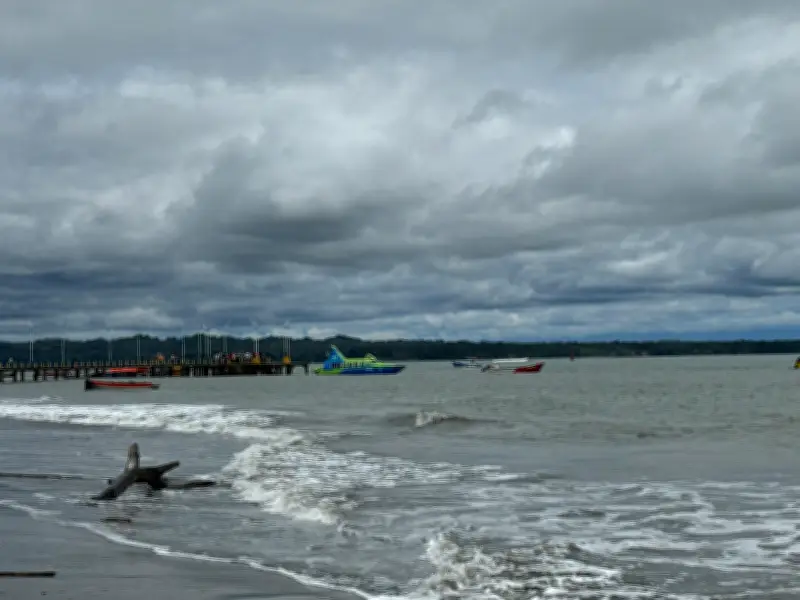 Más de 100 empresarios del Valle del Cauca participan en la Vitrina de Anato 2026