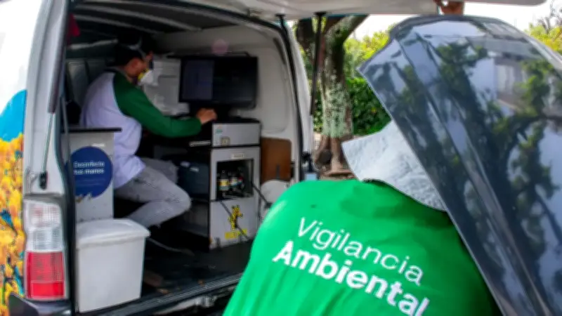 Murió 'Tigrilla Lanuda' rescatada en cerro tutelar de Medellín: luchó hasta el último minuto