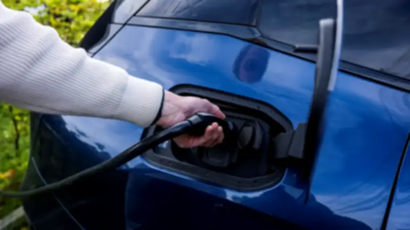 Noruega lidera la transición mundial: casi el 100% de sus ventas de autos son eléctricos