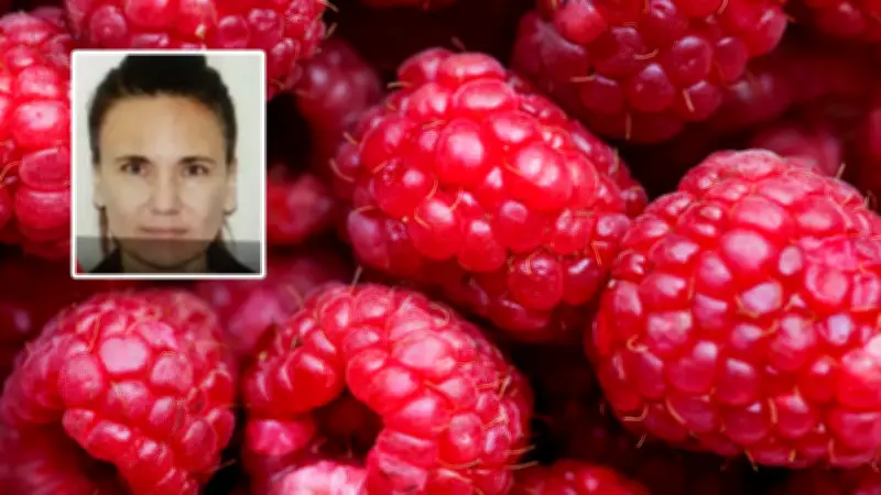 Nueva pista en caso de frambuesas envenenadas: investigan envíos previos de amiga de sospechosa
