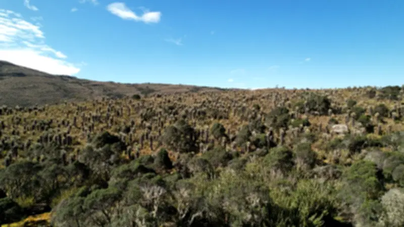 Nueva resolución regula actividades de bajo impacto en reservas forestales de Colombia