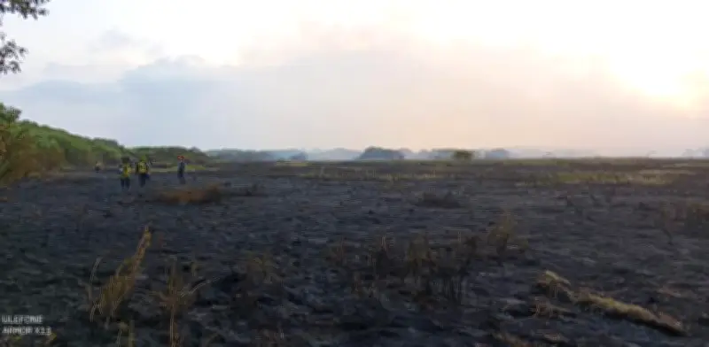 Nuevas quemas en Parque Isla Salamanca cubren Barranquilla de humo: crisis ambiental se intensifica