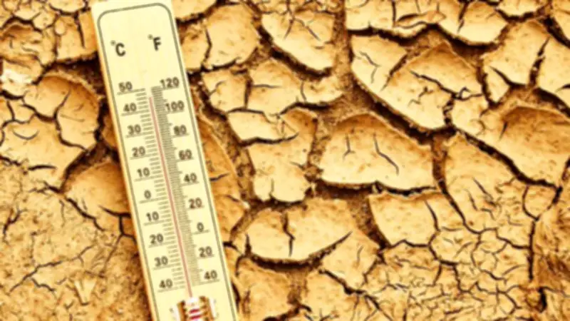 Ola de calor histórica azota EE.UU. con temperaturas 17°C sobre lo normal en febrero