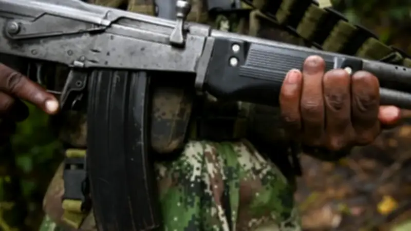 ONU alerta sobre persistencia del conflicto armado en Colombia y graves afectaciones a civiles