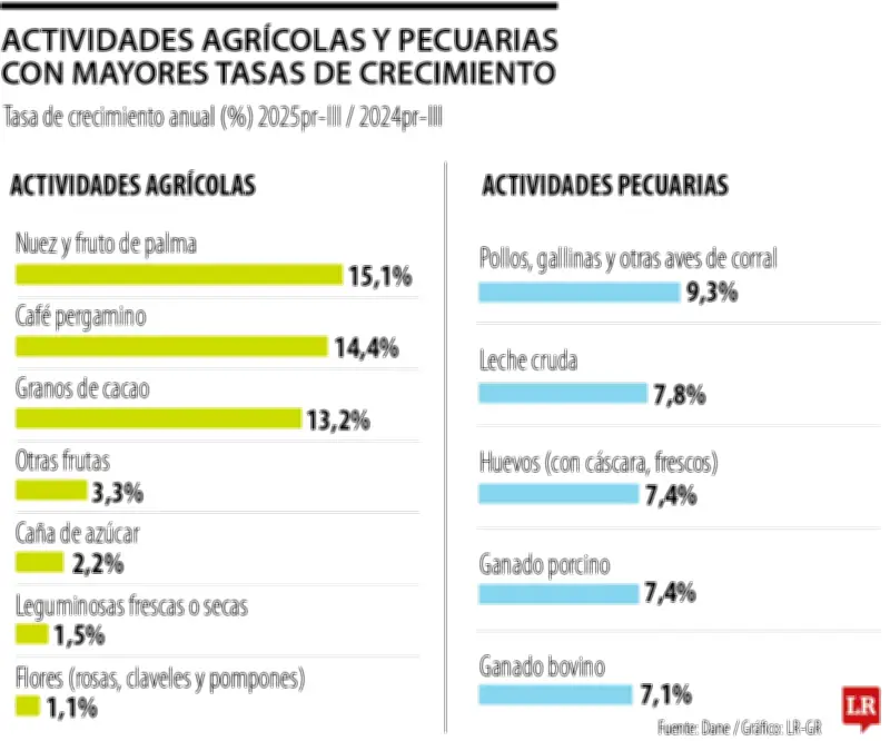 Palma, café y cacao lideran crecimiento agrícola colombiano en tercer trimestre de 2025