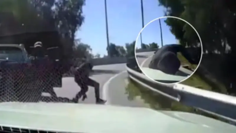 Pareja frustra intento de robo en autopista con maniobra evasiva sorprendente