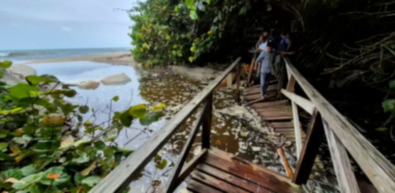Parque Tayrona reabre con acceso restringido: cierre de entrada principal sorprende a visitantes