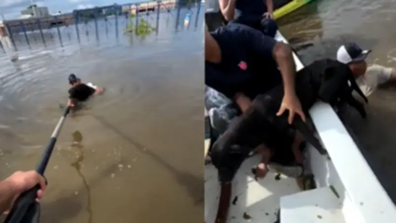Perro es rescatado tras nadar con sus últimas fuerzas en inundaciones de Córdoba