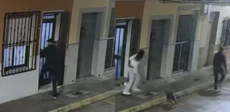 Perro frustra intento de secuestro en España al morder a atacante que gritaba 'Vente conmigo'