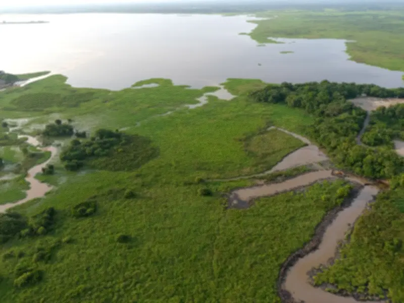 Pescadores alertan sobre contaminación en ciénaga El Llanito por remoción de crudo histórico