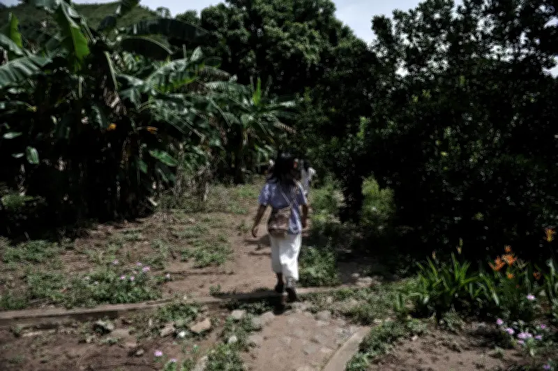 Petro anuncia nuevo decreto para la Línea Negra tras fallo del Consejo de Estado