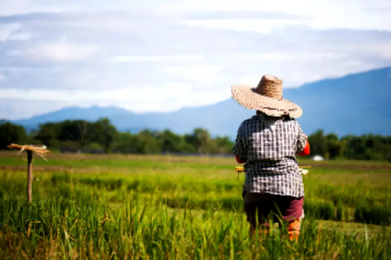 Petro destaca el poder de la mujer campesina en apertura de conferencia agraria global en Cartagena