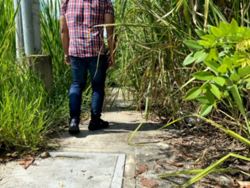 Piedecuesta: Maleza de 2 metros y delincuencia aterrorizan a peatones en vía Guatiguará