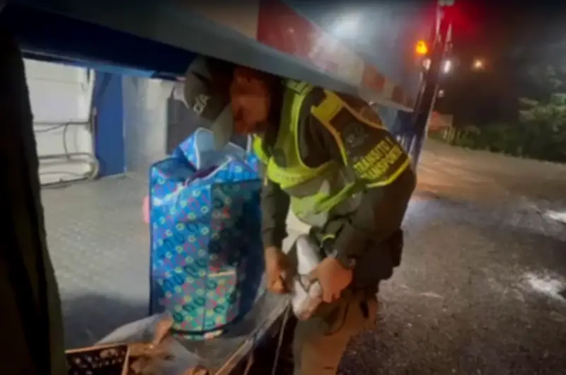 Policía incauta 33 kilos de marihuana en bus intermunicipal en Cimitarra, Santander