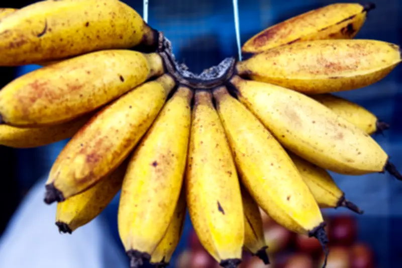 ¿Por qué colgar los bananos en la cocina ayuda a conservarlos mejor?