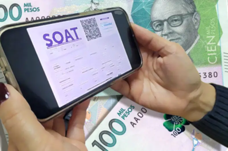 Proyecto de ley busca incluir atención veterinaria en la cobertura del SOAT para 2026