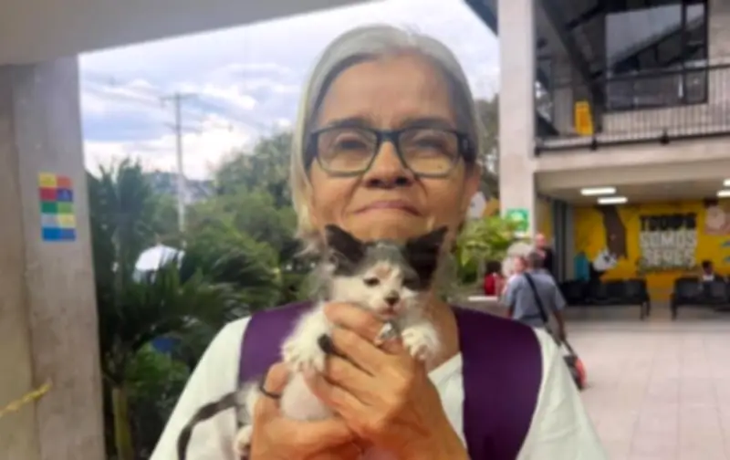 Reconocida activista animalista hallada muerta en Cali; su hijo es principal sospechoso