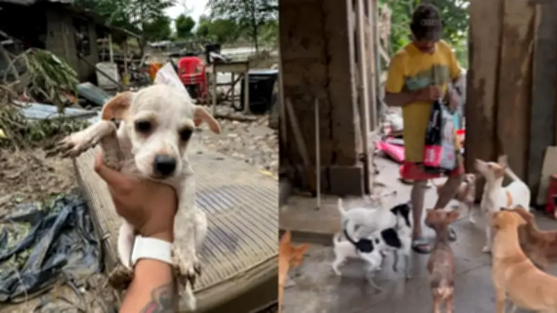 Rescatista de animales en Córdoba pide ayuda urgente tras inundaciones que destruyeron su hogar