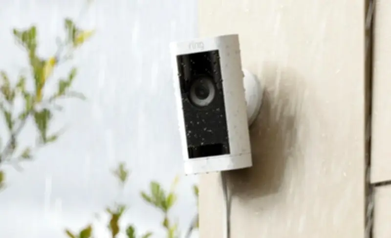 Ring lanza herramienta de IA para encontrar mascotas perdidas con ayuda de vecinos