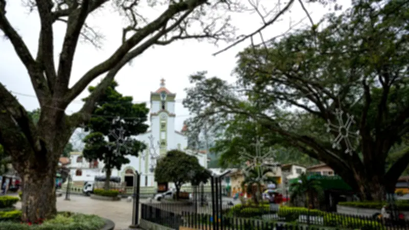 Salgar: El pueblo antioqueño con nombre presidencial que cautiva con su café y naturaleza