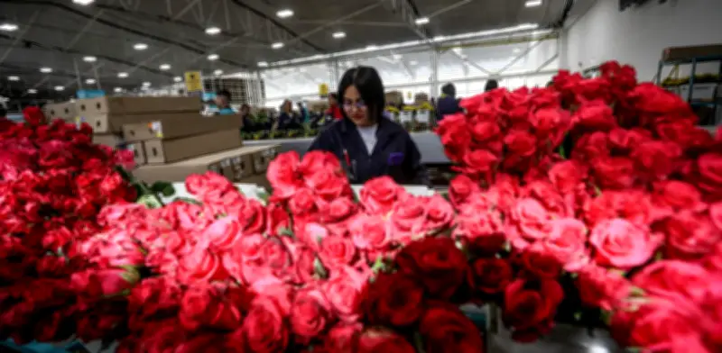 San Valentín se consolida en Colombia: comercio, experiencias y crédito impulsan la fecha