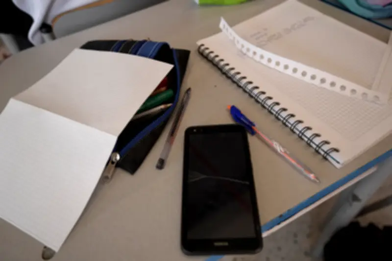 Secretaría de Educación alerta sobre riesgo de reclutamiento infantil por grupos delincuenciales