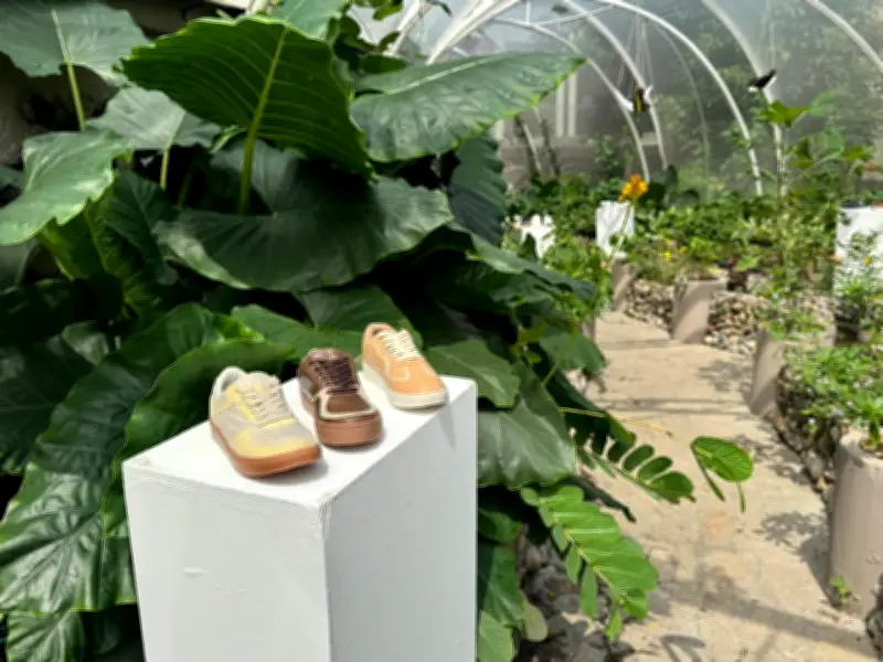 Sector calzado santandereano opera al 20% de capacidad pero apuesta a feria para recuperación