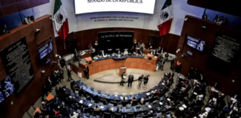 Senado de México autoriza ingreso de Navy Seals estadounidenses para entrenamiento militar