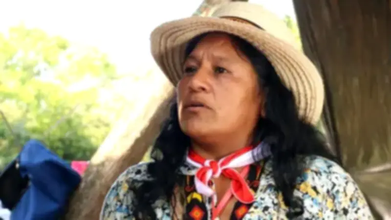 Senadora Aida Quilcué liberada en el páramo de Guanaca tras operativo coordinado