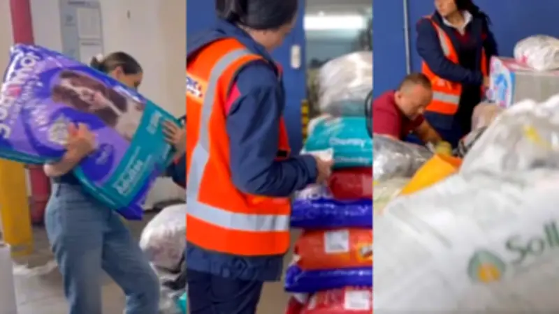 Senadora Andrea Padilla envía 3,2 toneladas de ayuda para animales damnificados por lluvias en Córdoba