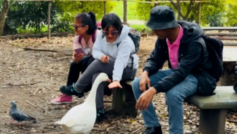 Senadora denuncia desalojo arbitrario de santuario animal en Bogotá que dejaría 113 animales en la calle