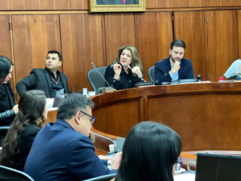 Senadora denuncia recrudecimiento del conflicto en Catatumbo y crítica a la política de paz total