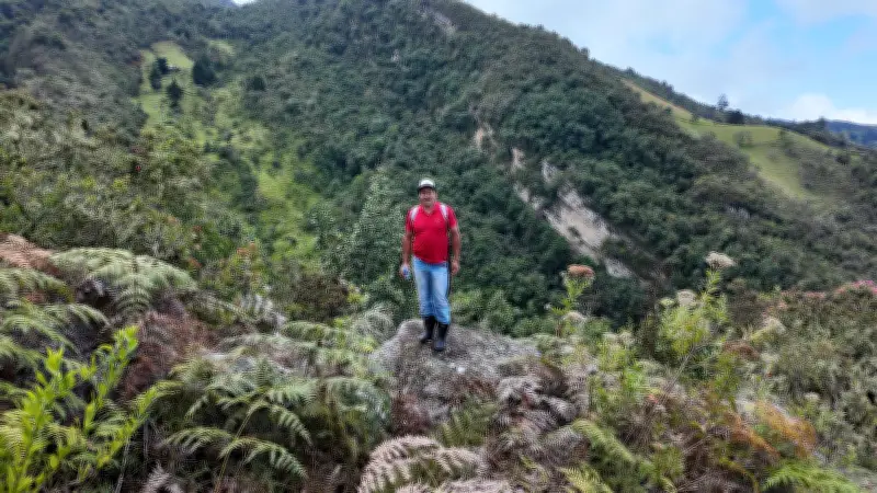 Senderismo con rebaños de ovejas: una experiencia única en la Reserva La Llanada de Santander
