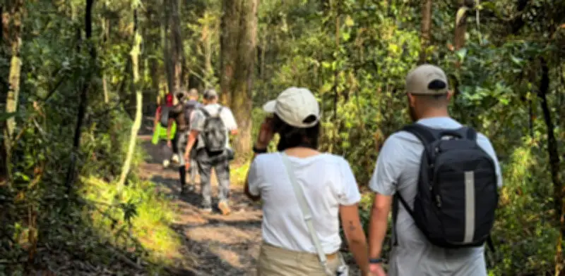 Senderos de los Cerros Orientales de Bogotá registran aumento del 58% en visitas durante 2025