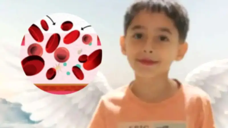 Sociedades científicas rechazan declaraciones de Petro y Minsalud sobre muerte de niño con hemofilia