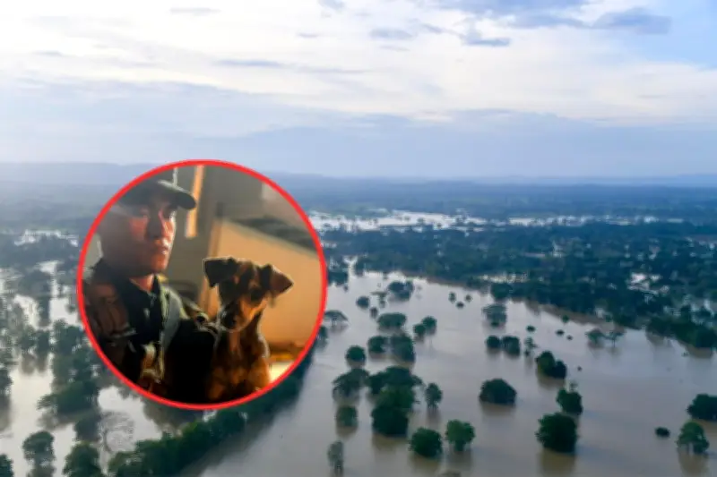 Soldado adopta perro rescatado de inundaciones en Montería: la emotiva historia de Aqua