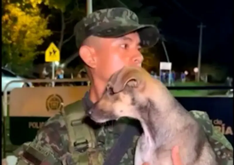 Soldado rescata y adopta perrita durante inundaciones en Córdoba