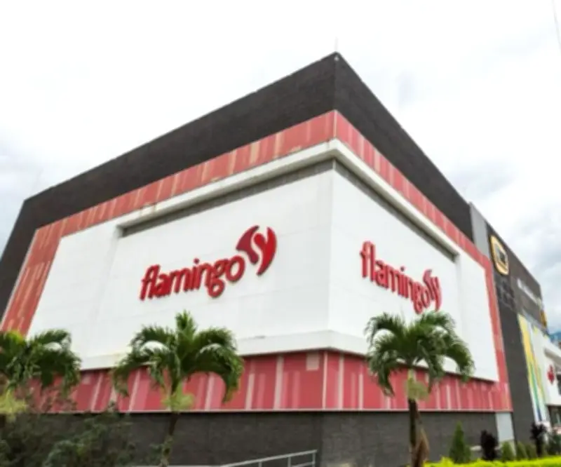 Superintendencia de Sociedades valida acuerdo para reorganizar deudas de Almacenes Flamingo