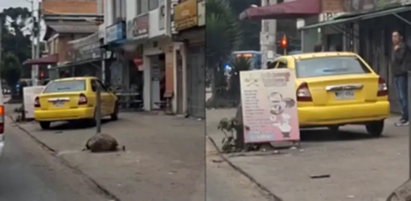 Taxista de Suba evade trancón por andén peatonal y acumula más de $8 millones en multas