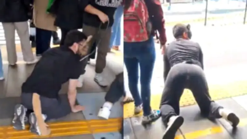 Therians sorprenden en TransMilenio: Jóvenes con máscaras y colas de perro causan polémica en Bogotá