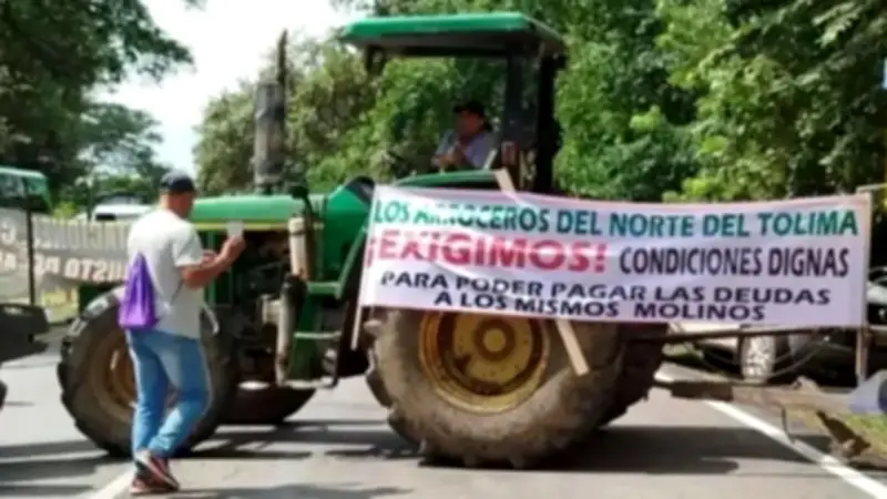 Tolima se prepara para el Día de la Dignidad Arrocera en medio de la campaña electoral