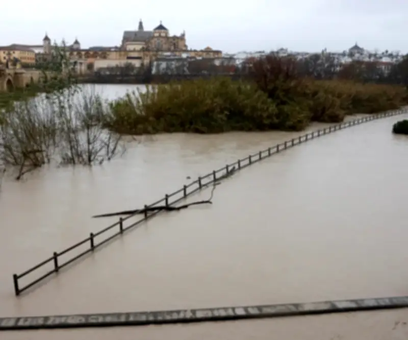 Tormenta en Barcelona deja víctima mortal mientras España enfrenta octava borrasca del año