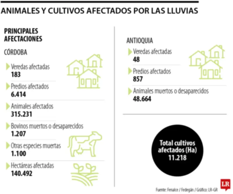 Tragedia invernal en Córdoba: Miles de cabezas de ganado y hectáreas de cultivos perdidos